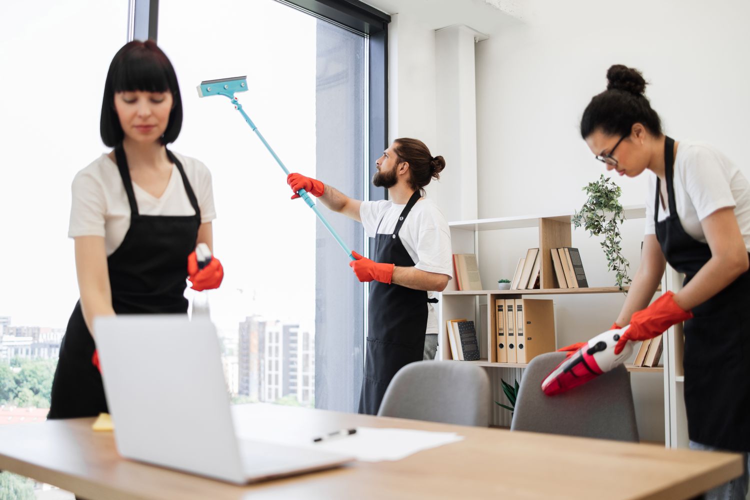 professional cleaners